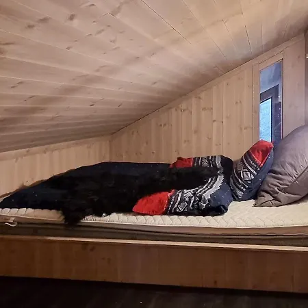 Cabin At The Gateway To Jotunheimen Feriehus Tessand
