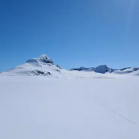Cabin At The Gateway To Jotunheimen Casa de Férias *